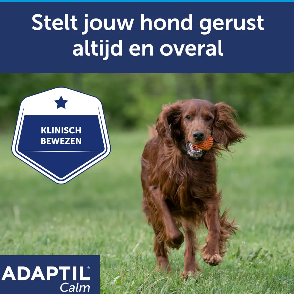 Adaptil Calm Halsband