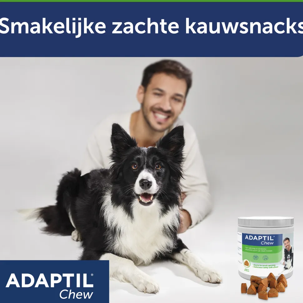 Adaptil Chews