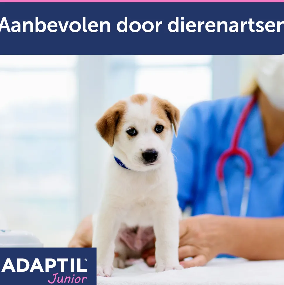Adaptil Halsband - Junior