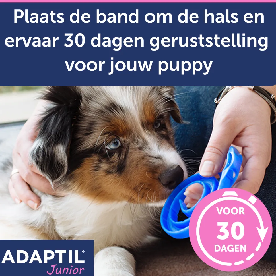Adaptil Halsband - Junior