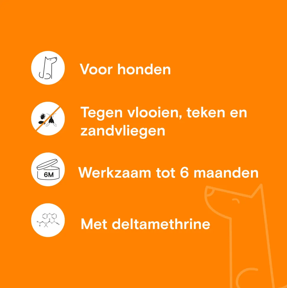 Adimere Vlooien- en Tekenband Hond
