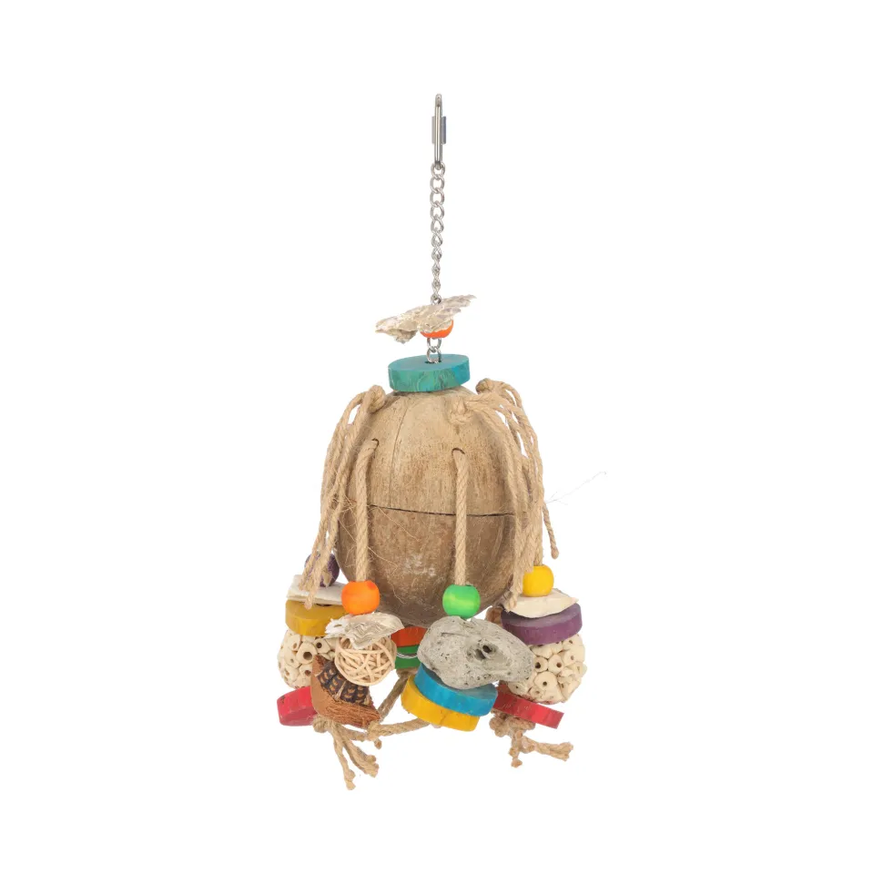 Adori Carnival Coconut