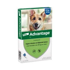 Advantage Hond