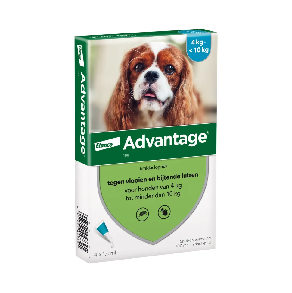 Advantage Hond
