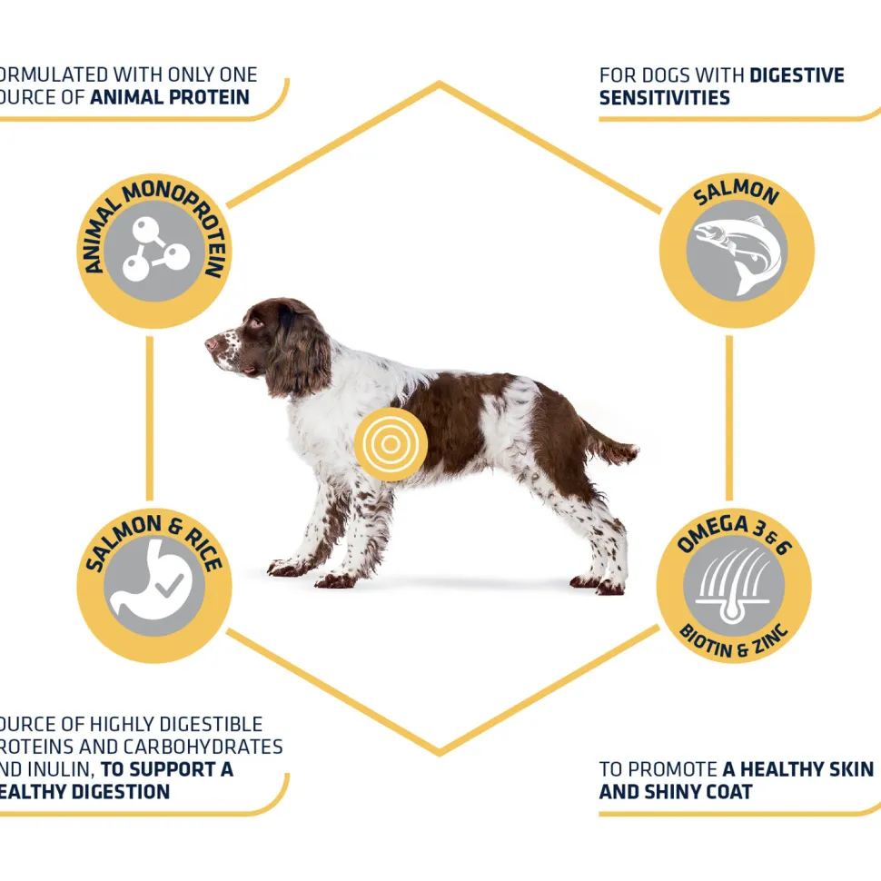 Affinity Advance Sensitive Medium-Maxi Zalm en Rijst - Hond