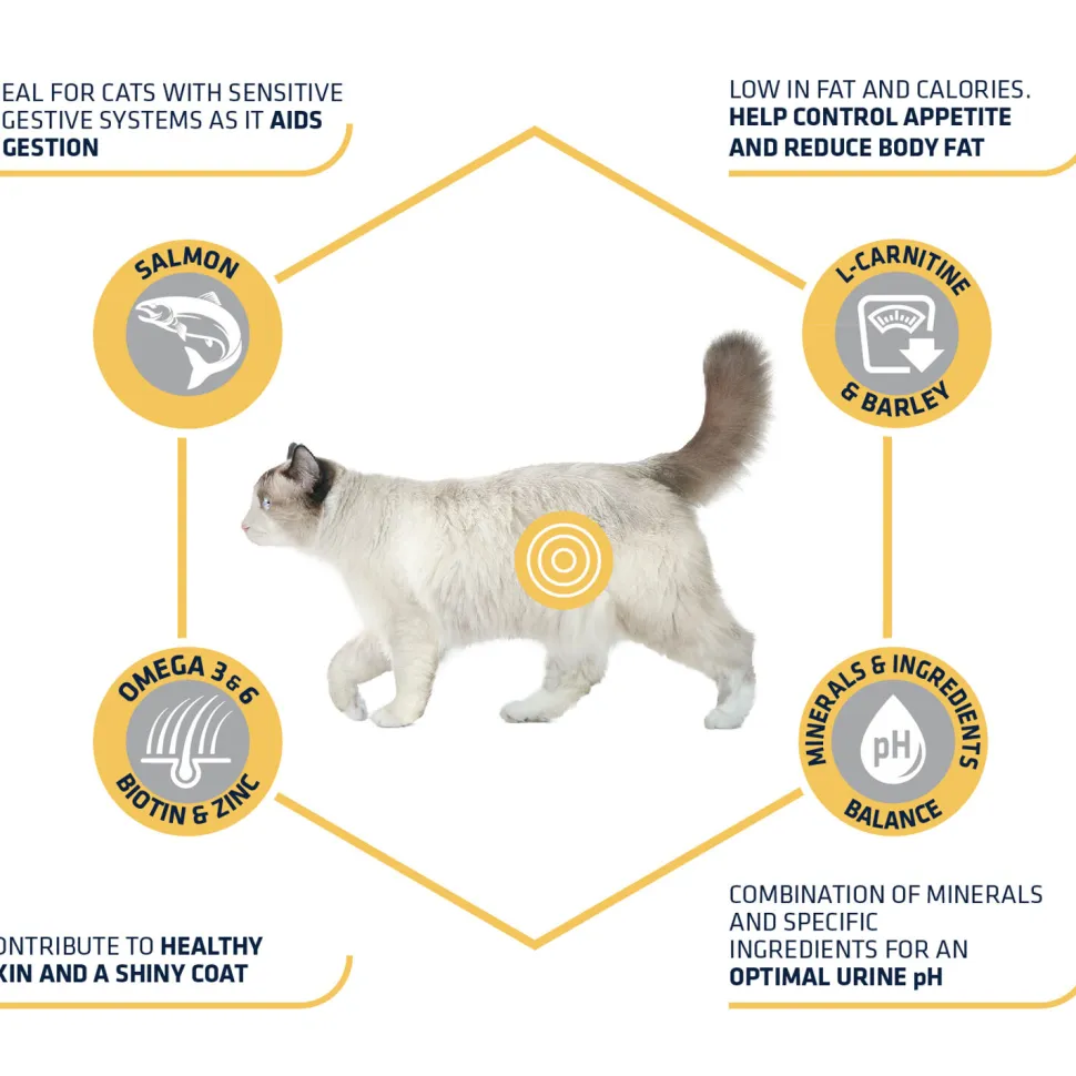 Affinity Advance Sterilized Salmon Sensitive - Kat