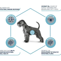 Affinity Advance Veterinary Diets Gastroenteric Hond
