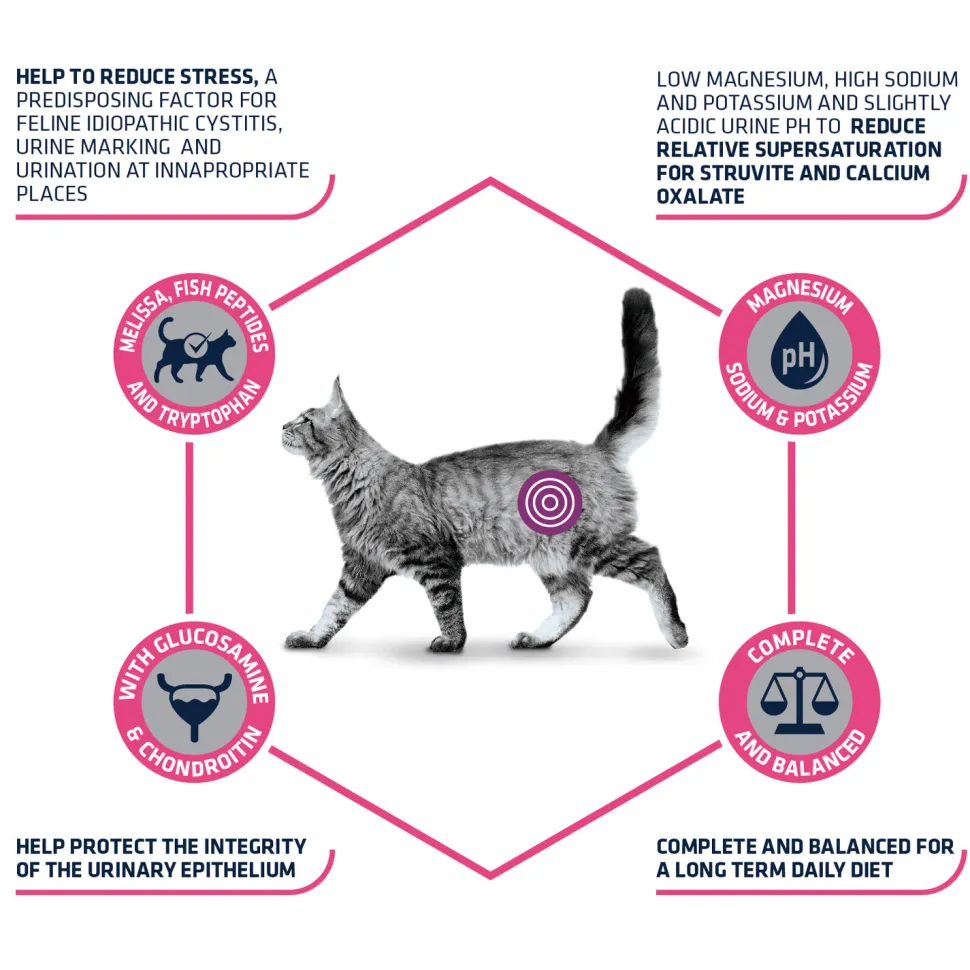 Affinity Advance Veterinary Diets Urinary Stress Kat