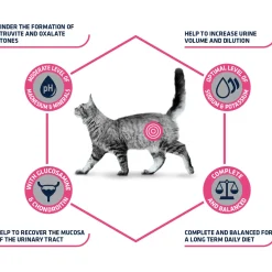 Affinity Advance Veterinary Diets Urinary Kat