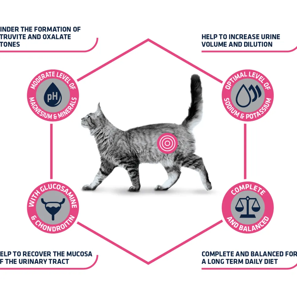 Affinity Advance Veterinary Diets Urinary Kat