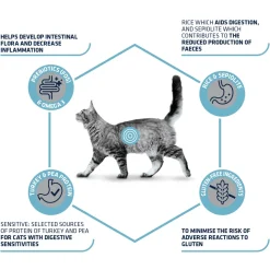 Affinity Advance Veterinary Diets Gastroenteric Sensitive Kat