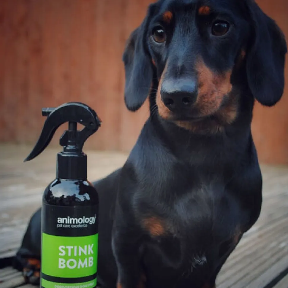 Animology - Stink Bomb