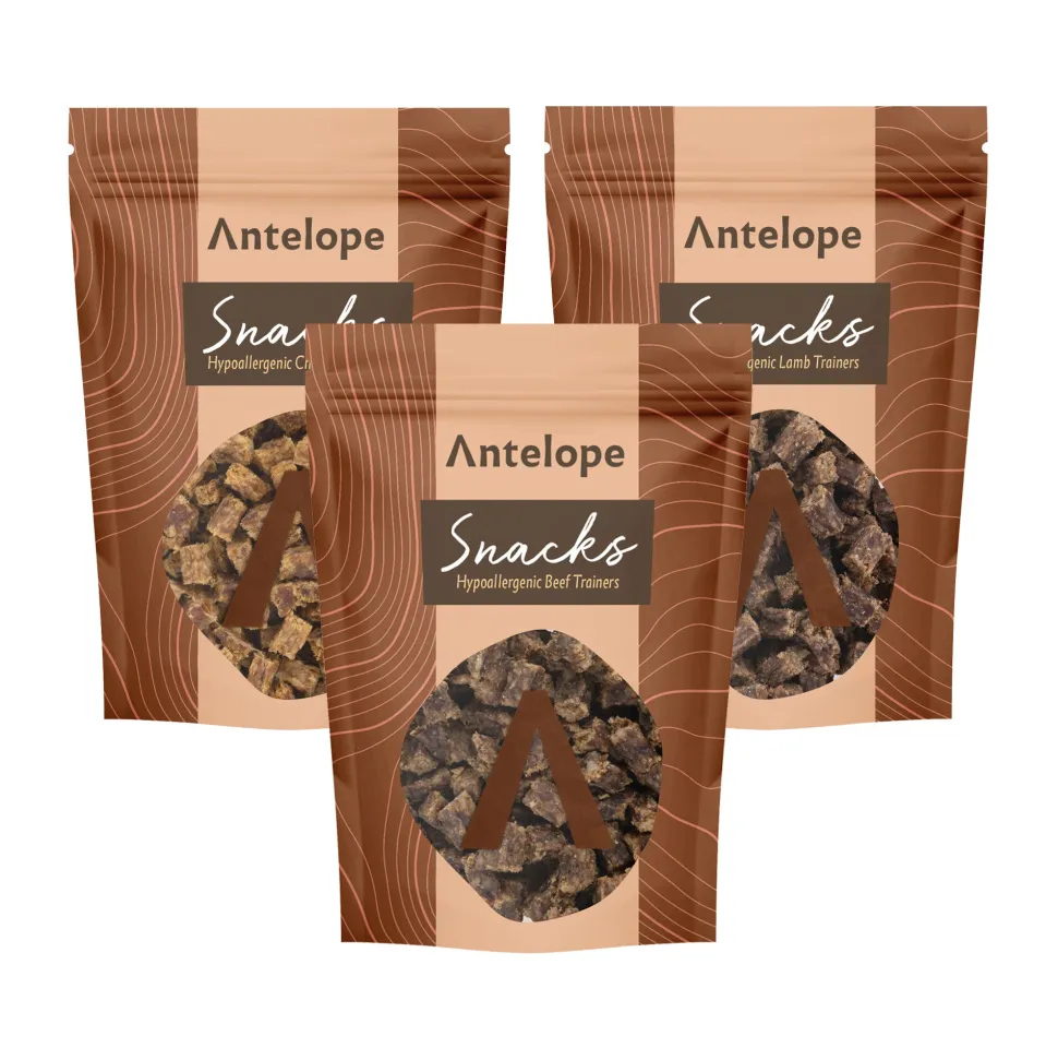 Antelope Hypoallergene Trainers
