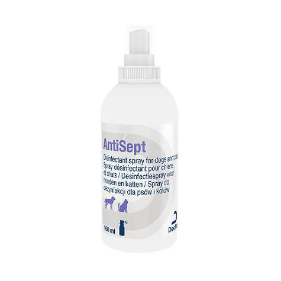 AntiSept Desinfectiespray