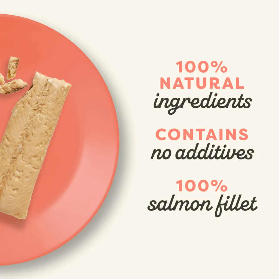 Applaws Cat - Salmon Loin