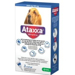 Ataxxa