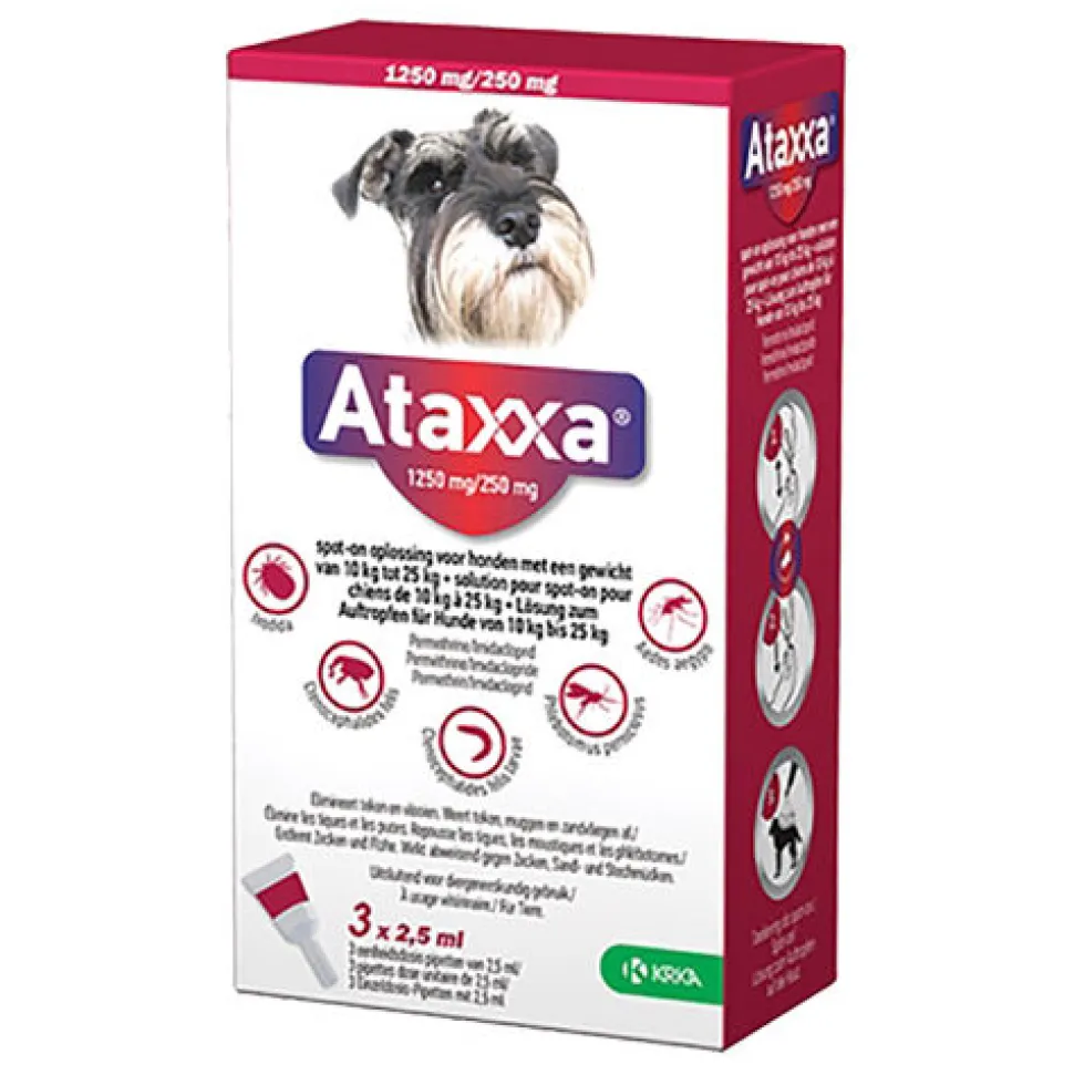 Ataxxa