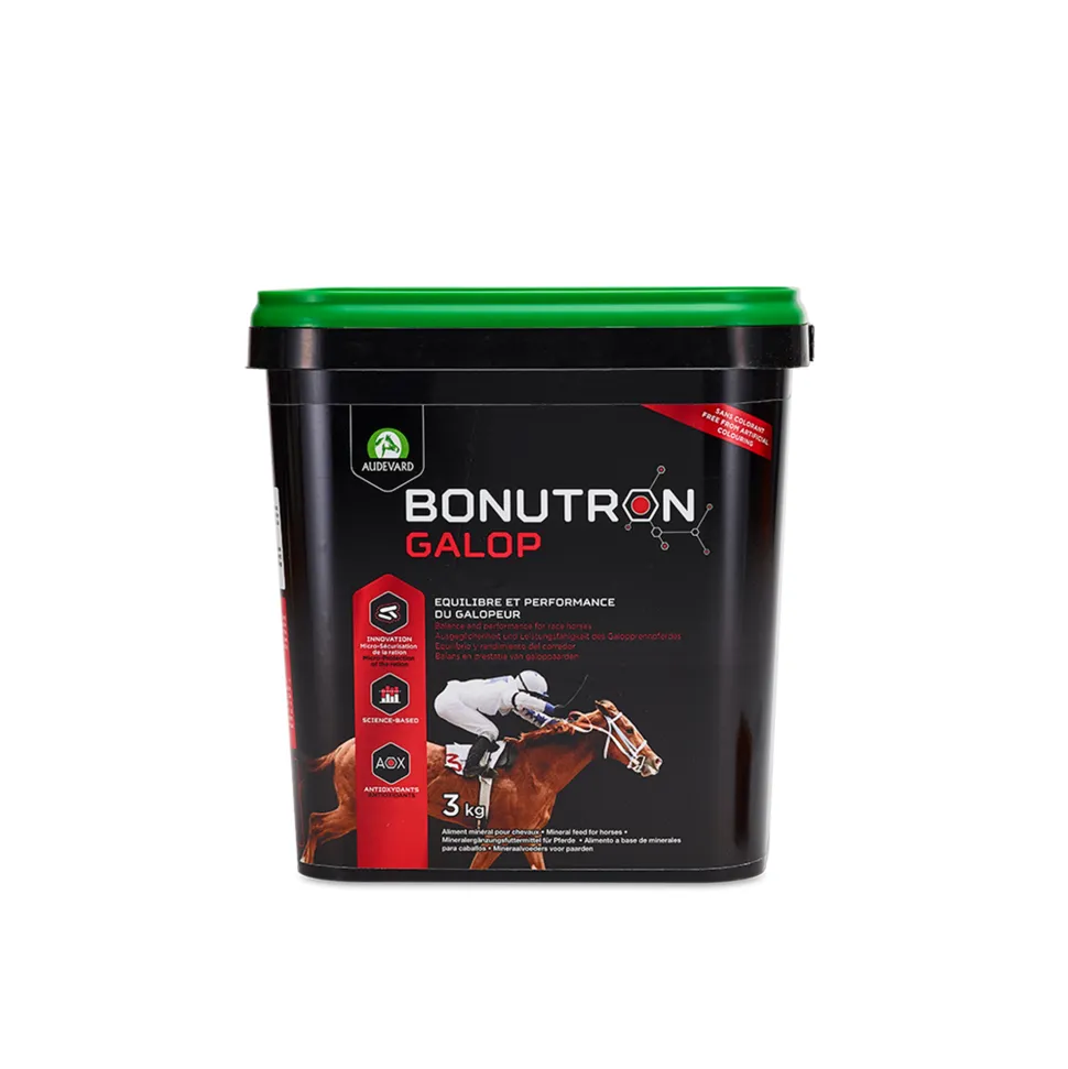 Audevard Bonutron Galop