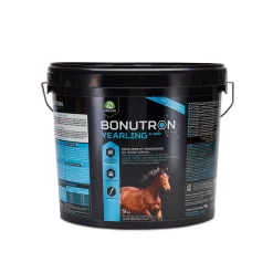 Audevard Bonutron Yearling 6 - 36M