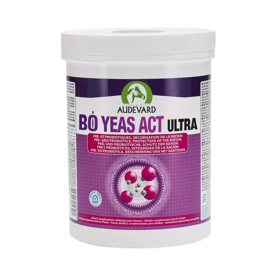 Audevard Bo Yeas Act Ultra