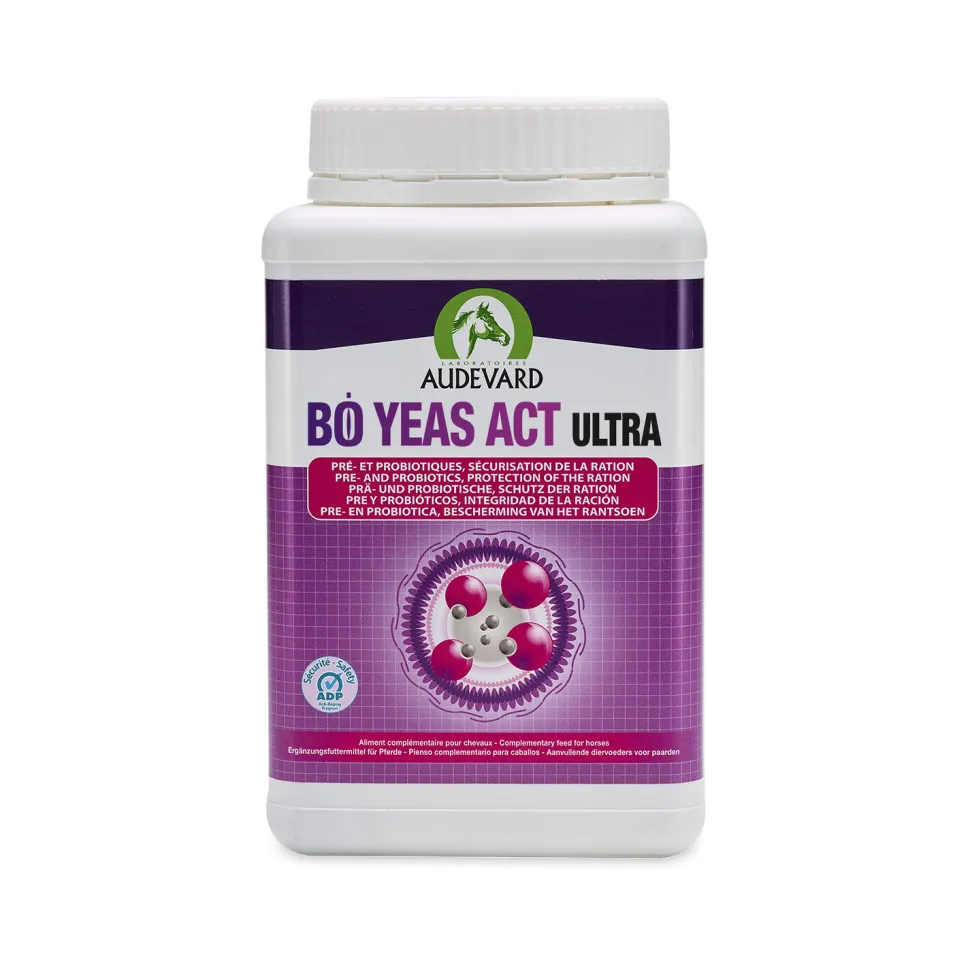Audevard Bo Yeas Act Ultra