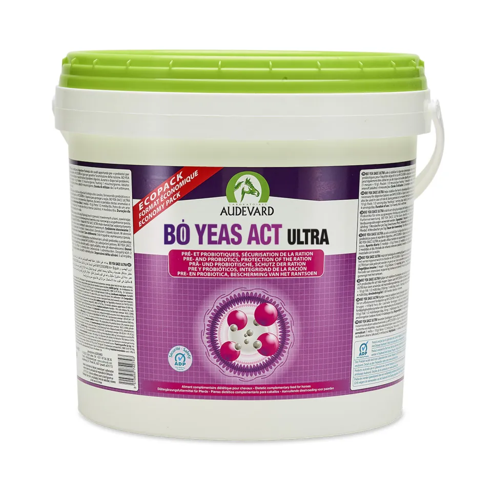 Audevard Bo Yeas Act Ultra