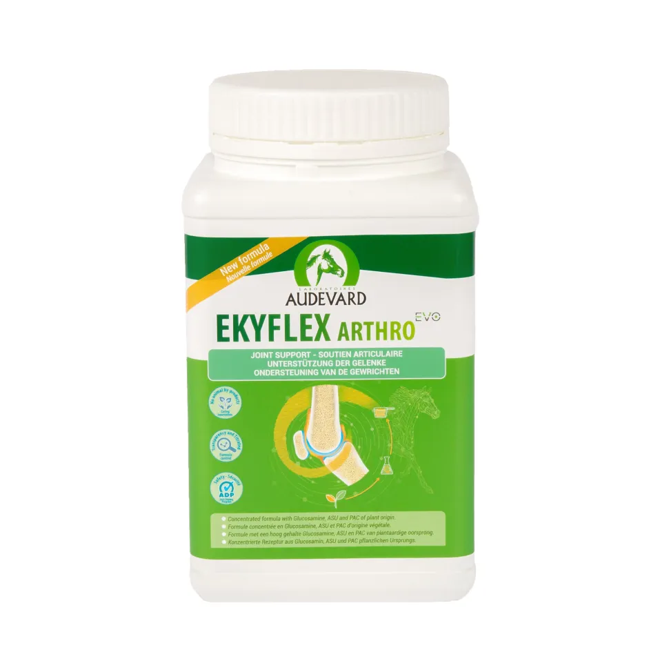 Audevard Ekyflex Arthro EVO