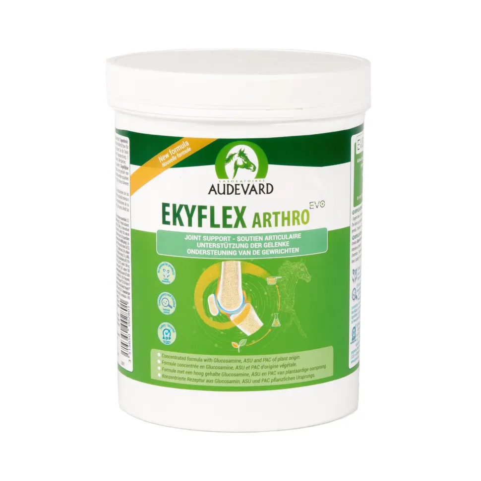 Audevard Ekyflex Arthro EVO