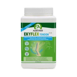 Audevard Ekyflex Tendon EVO