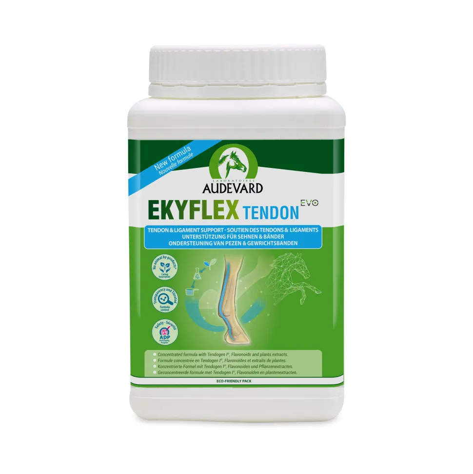 Audevard Ekyflex Tendon EVO