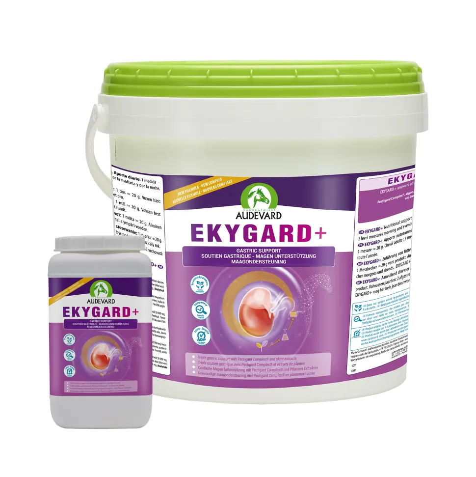 Audevard Ekygard