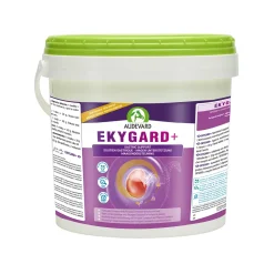 Audevard Ekygard