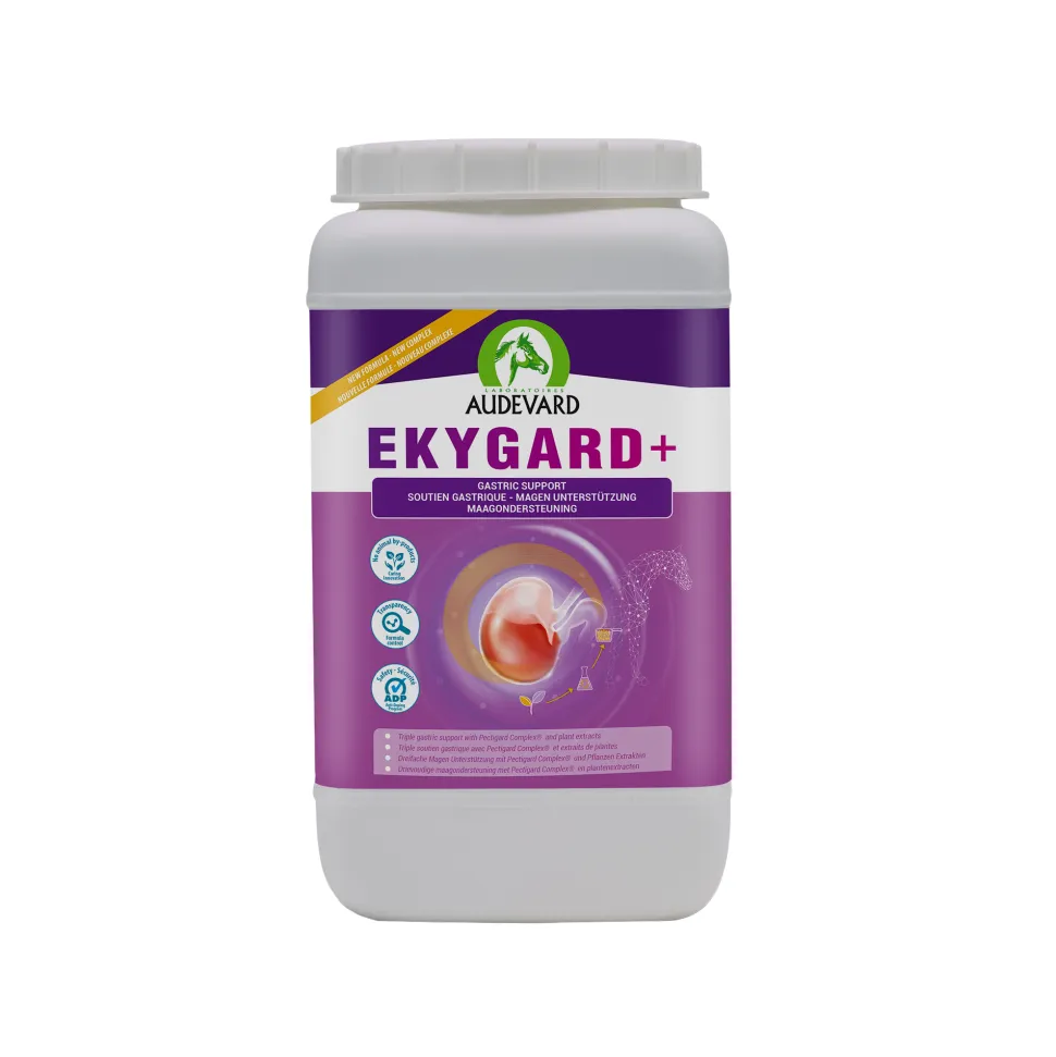 Audevard Ekygard