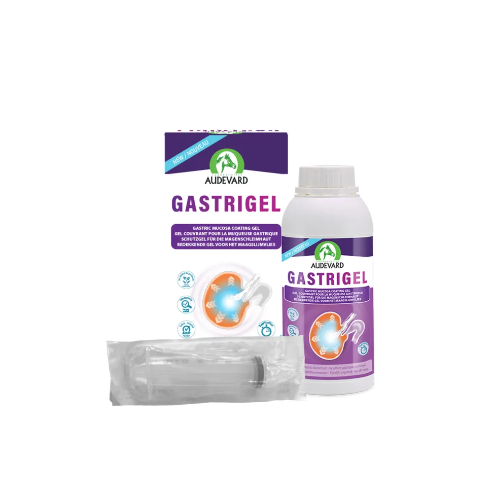 Audevard Gastrigel