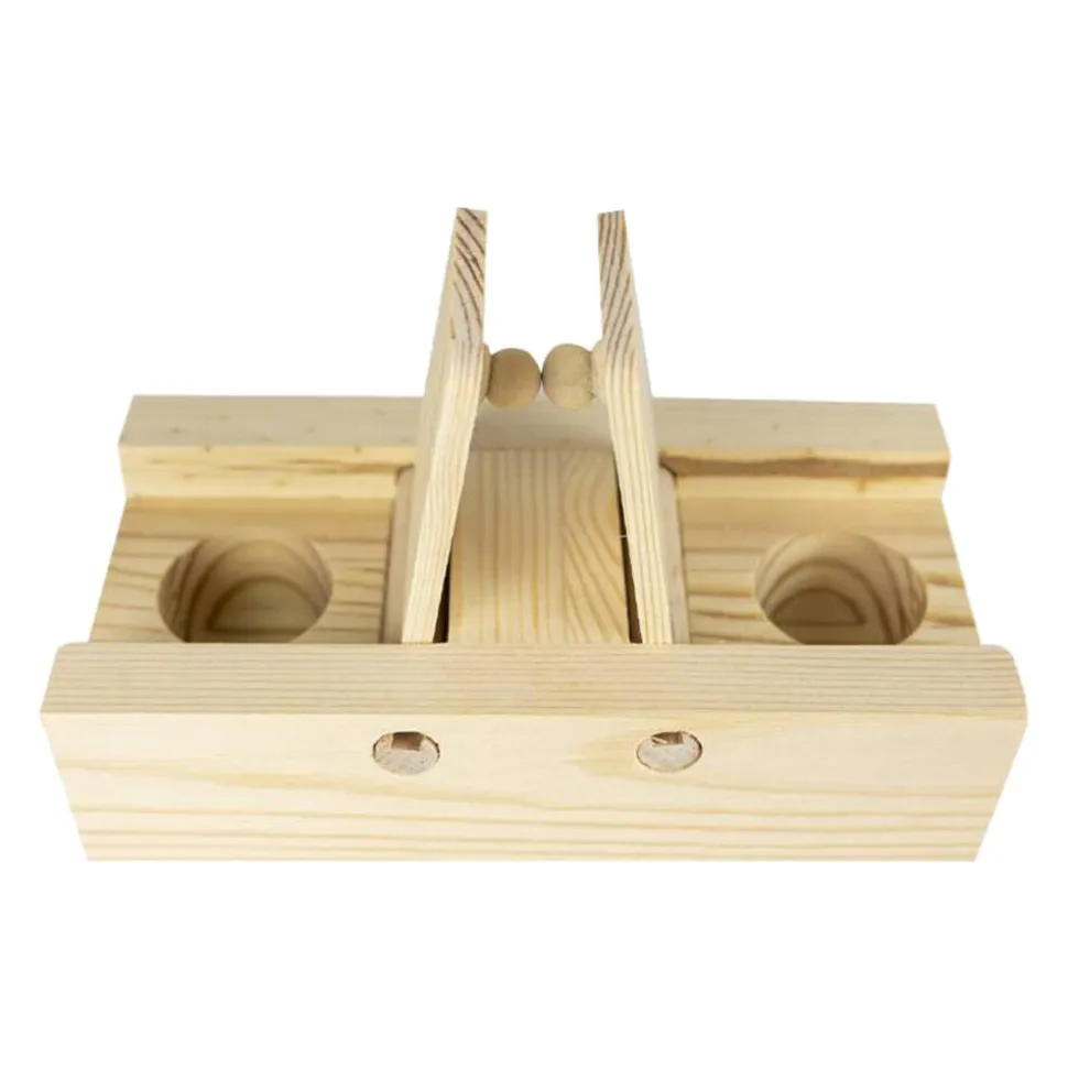 Back Zoo Nature Brain Trainer Flaps