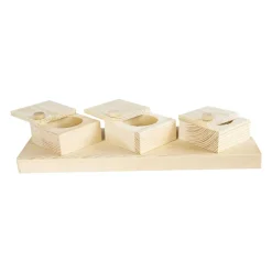 Back Zoo Nature Brain Trainer Cups