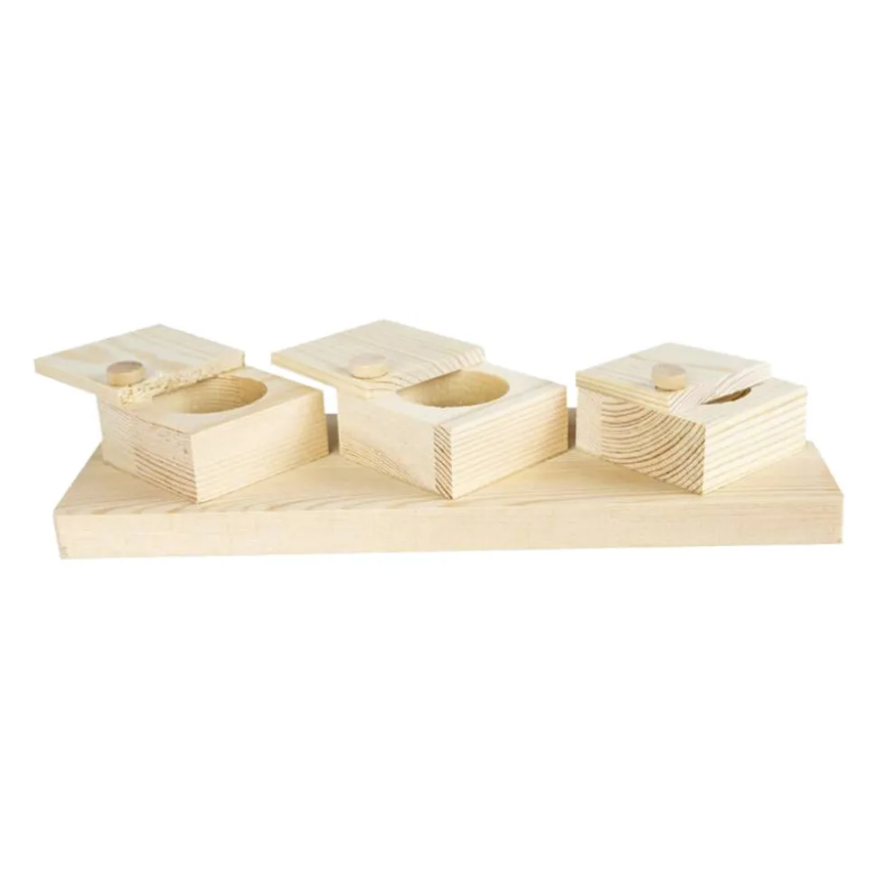 Back Zoo Nature Brain Trainer Cups