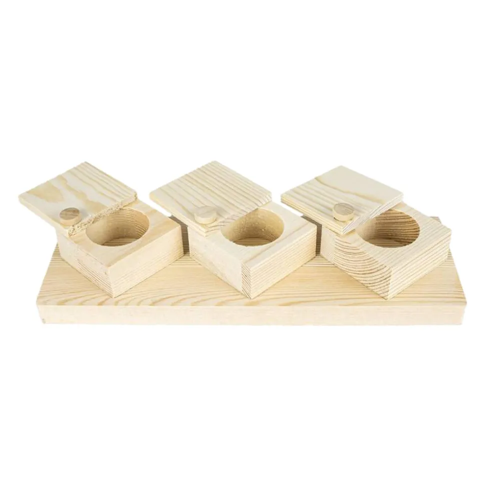 Back Zoo Nature Brain Trainer Cups