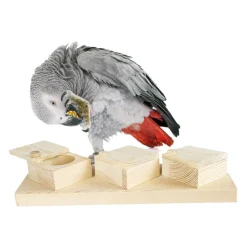 Back Zoo Nature Brain Trainer Cups