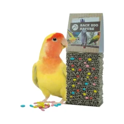 Back Zoo Nature Cardboard Treat Board