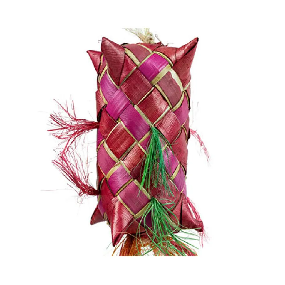 Back Zoo Nature Carnival Pinata