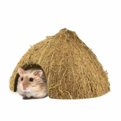 Back Zoo Nature Coco Hiding Cave