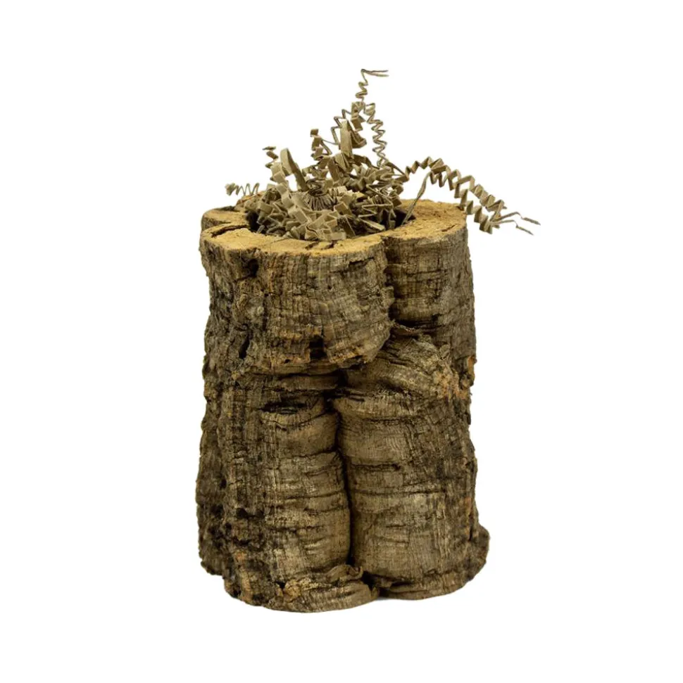 Back Zoo Nature Crinkle Paper