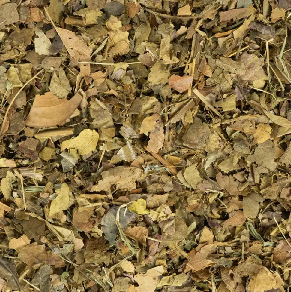 Back Zoo Nature Crushed Leaves Mix