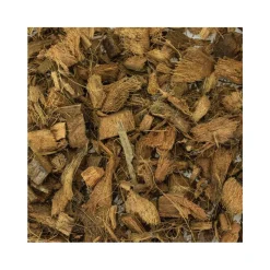 Back Zoo Nature Discovery bedding