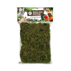 Back Zoo Nature Forest Moss