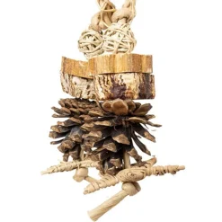 Back Zoo Nature Forest Ring
