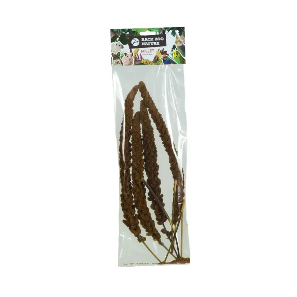 Back Zoo Nature Franse Trosgierst