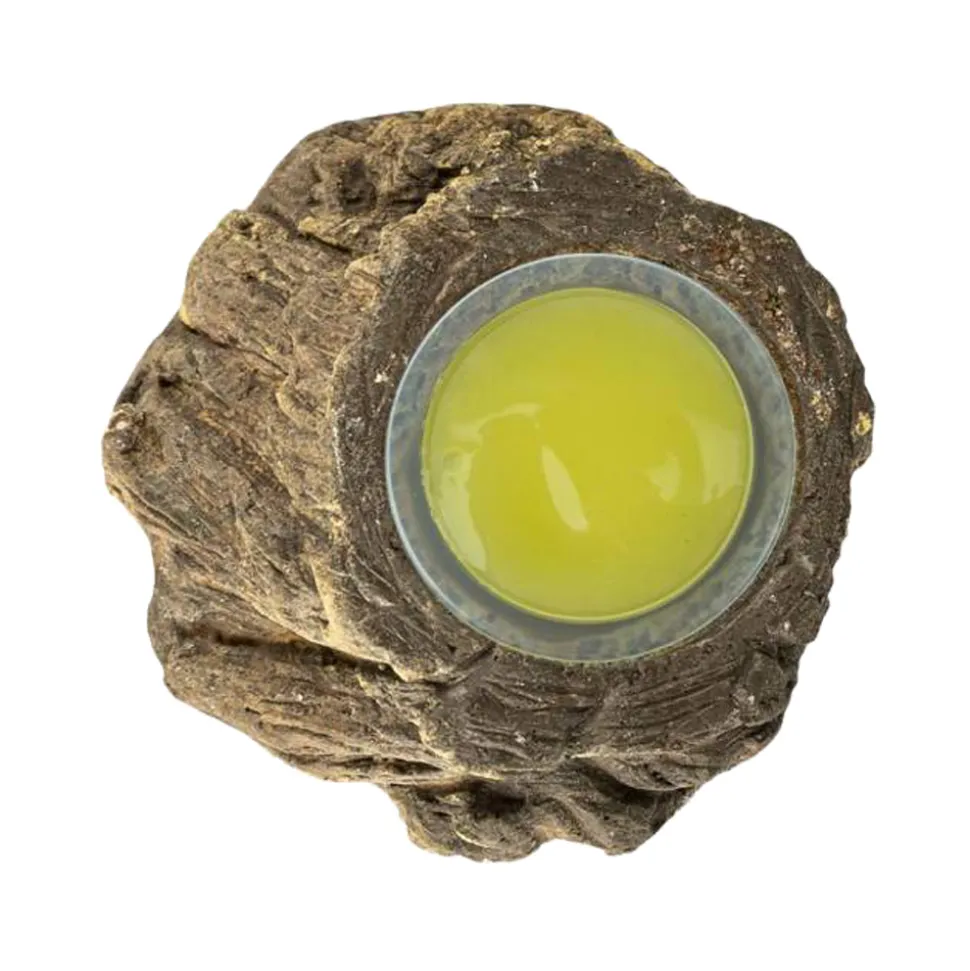 Back Zoo Nature Fruitcup Holder