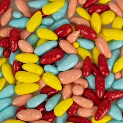 Back Zoo Nature Parrot Sunflower Seed Treats